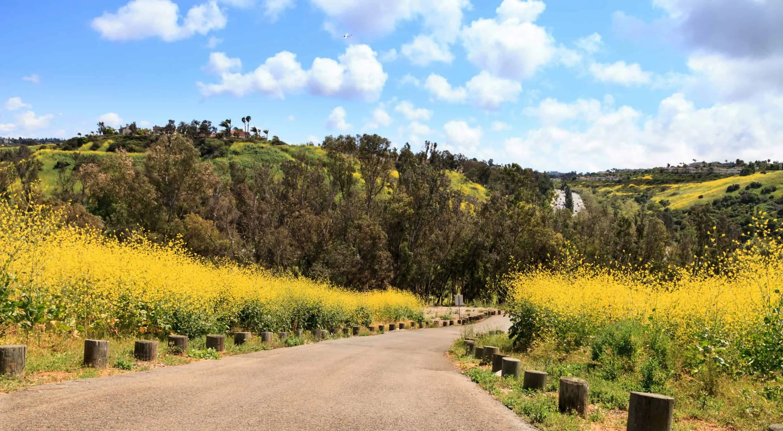 Aliso Viejo